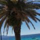 IMG-20250709-WA0007.jpg