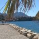 IMG_0414.jpeg