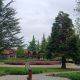 IMG_20250426_164415.jpg