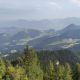 IMG-20250818-WA0013.jpg