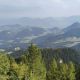 IMG-20250818-WA0015.jpg