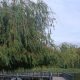 IMG_20260508_193240.jpg